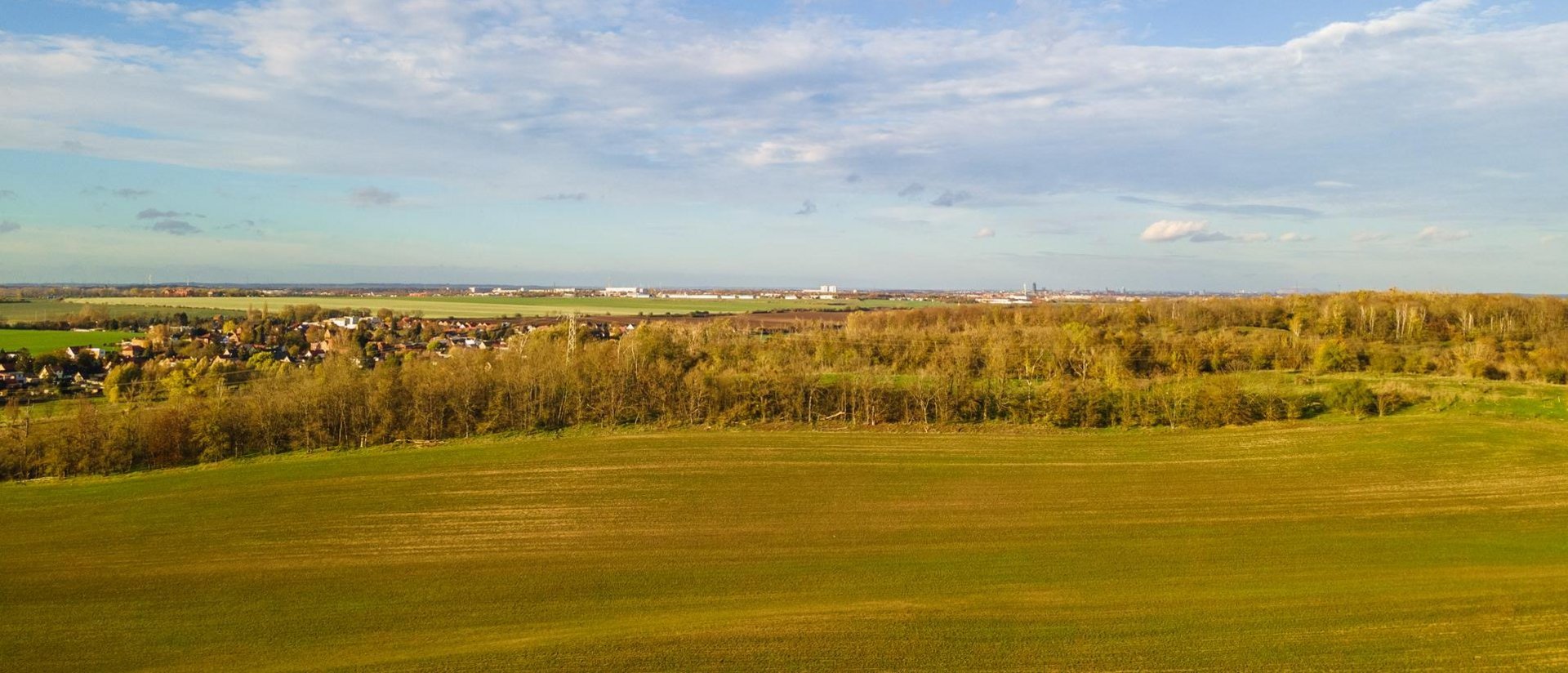 Baugrundstück Biederitz – Kieferngrund